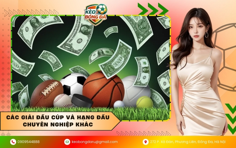 Các giải đấu cúp và hạng đấu chuyên nghiệp khác