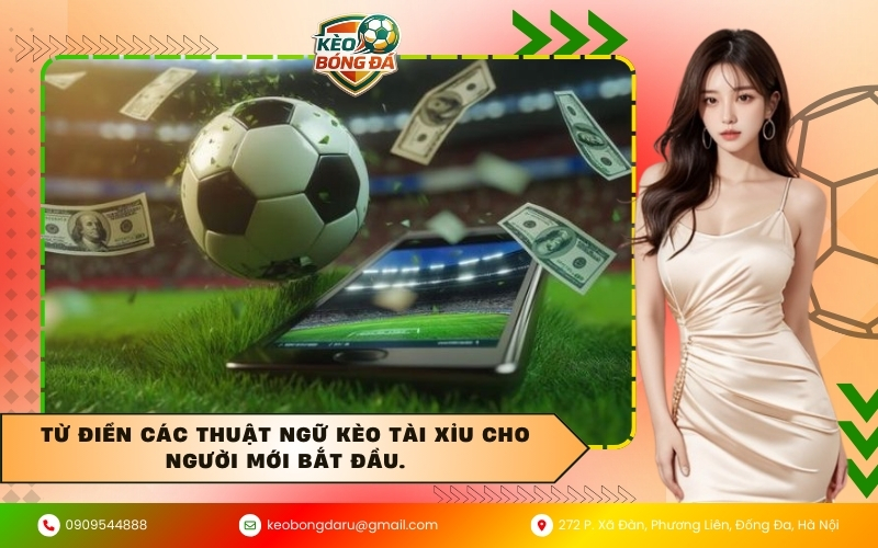 Từ điển các thuật ngữ kèo Tài Xỉu cho người mới bắt đầu.
